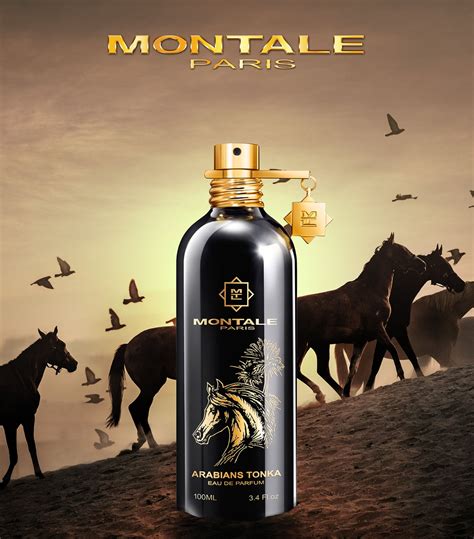 arabians tonka montale.